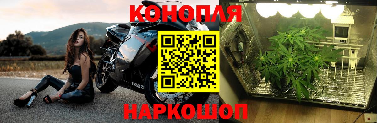 Шишки марихуана индика Дзержинск